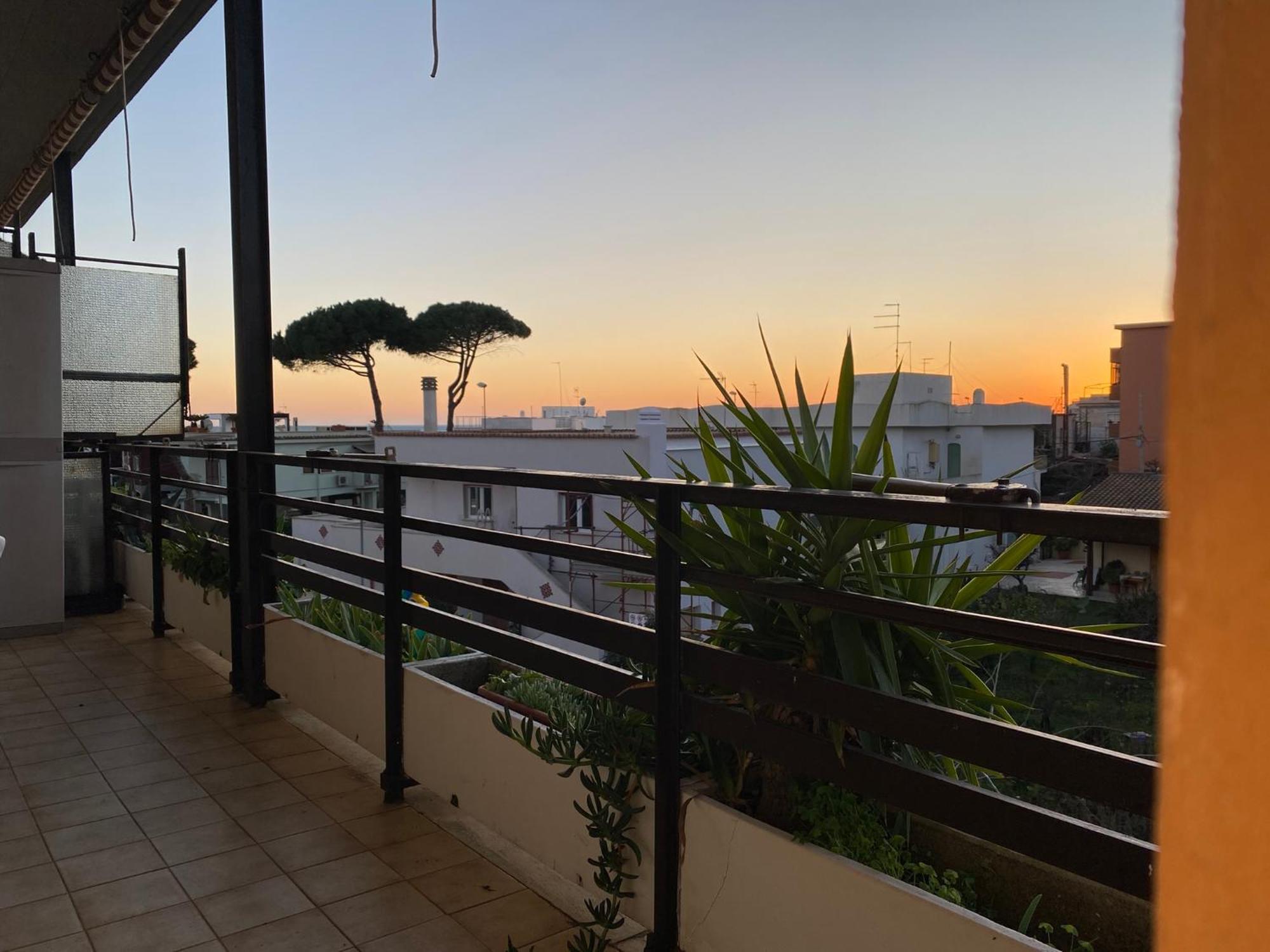 Coastal House - Spiaggia E Piscina A Dieci Passi Santa Marinella Luaran gambar